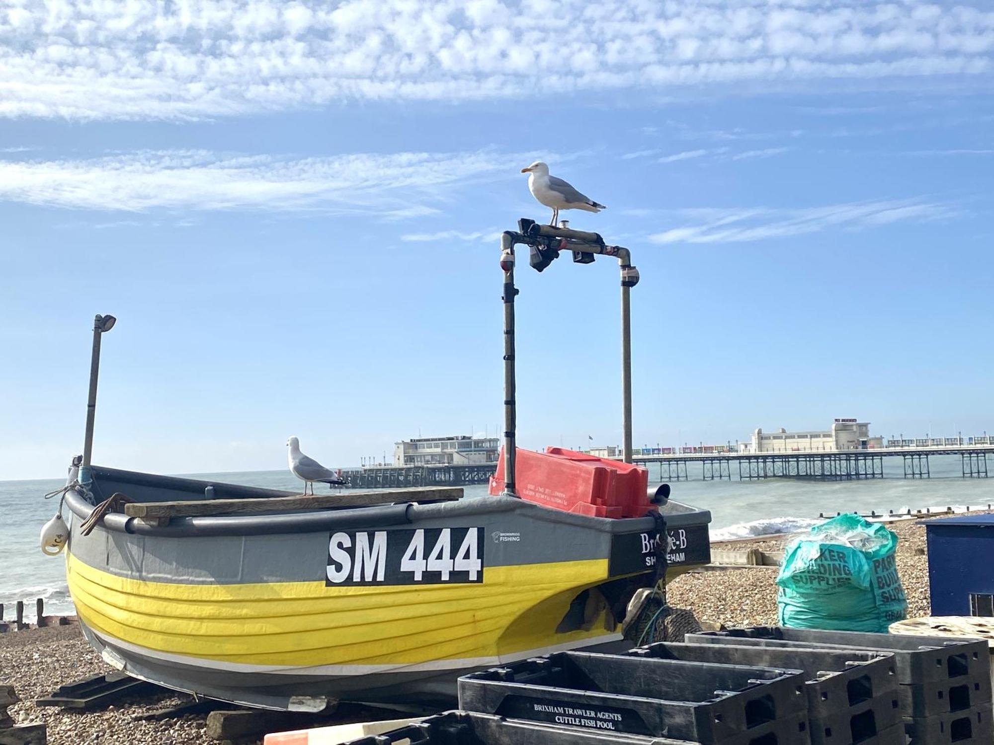 Stunning 2 Bed Apartment Sea Views And Parking Worthing Exterior foto